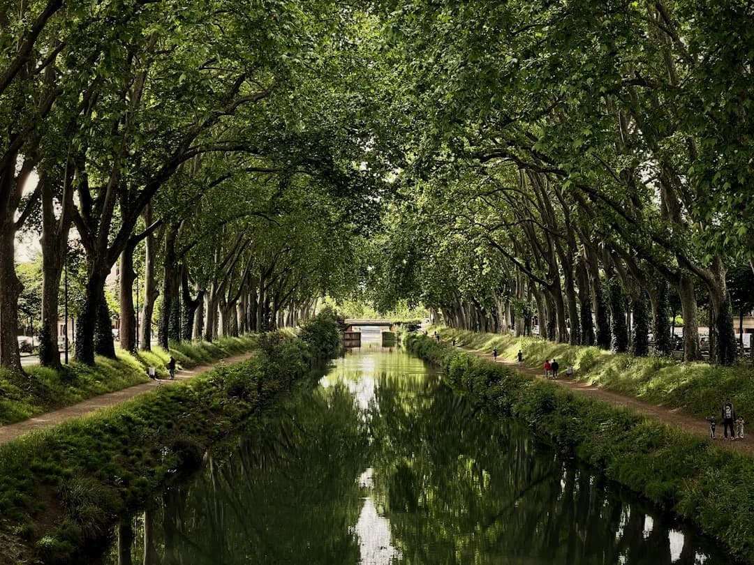 Canal du Midi Boat Trip: Practical Guide to the Med