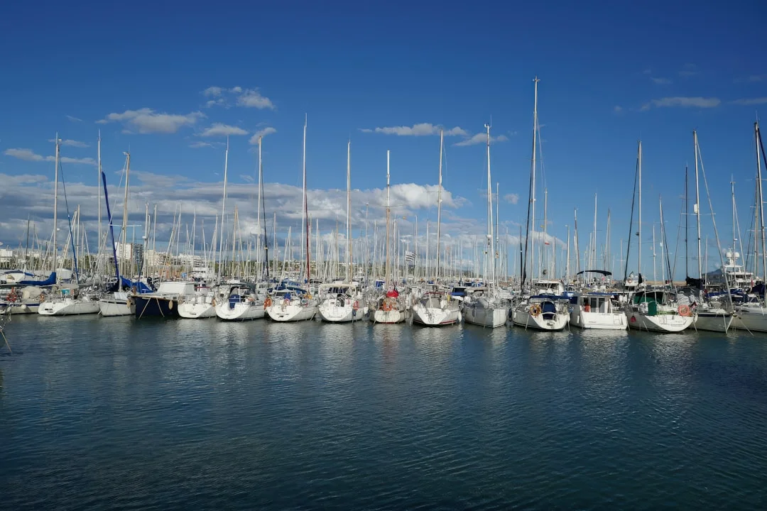 Sailboats docked in a marina under a clear blue sky with masts reflecting in calm water
