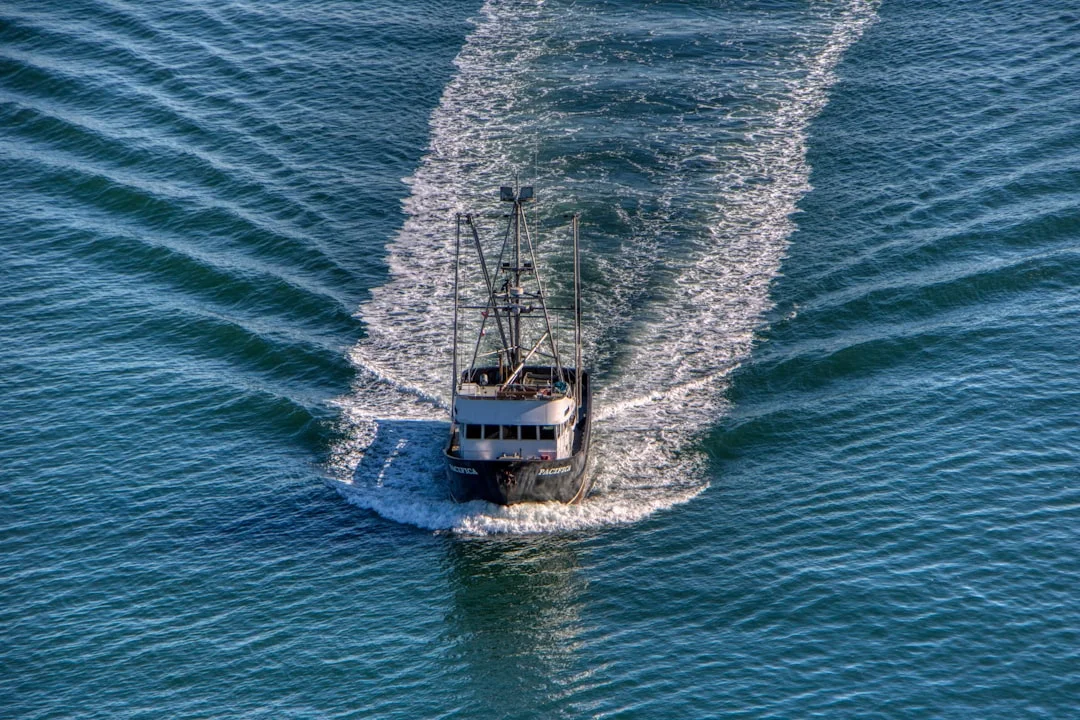 Catamaran cruising across open water at speed