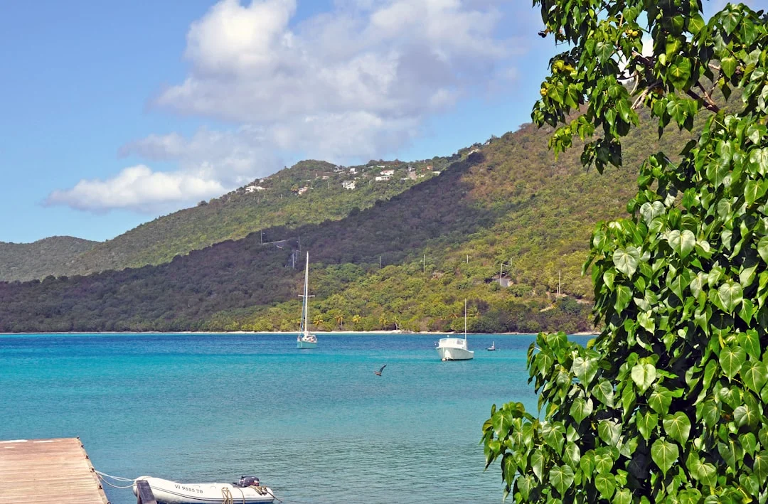A sailing vessel moored in the calm waters of the Virgin Islands