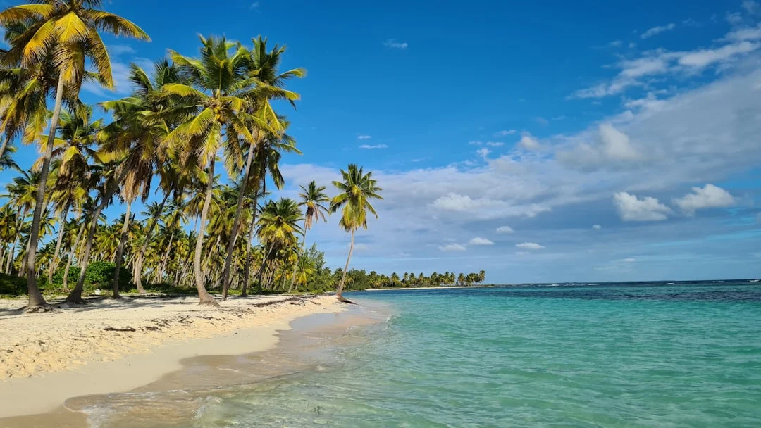 Caribbean beach with palm trees and clear blue water