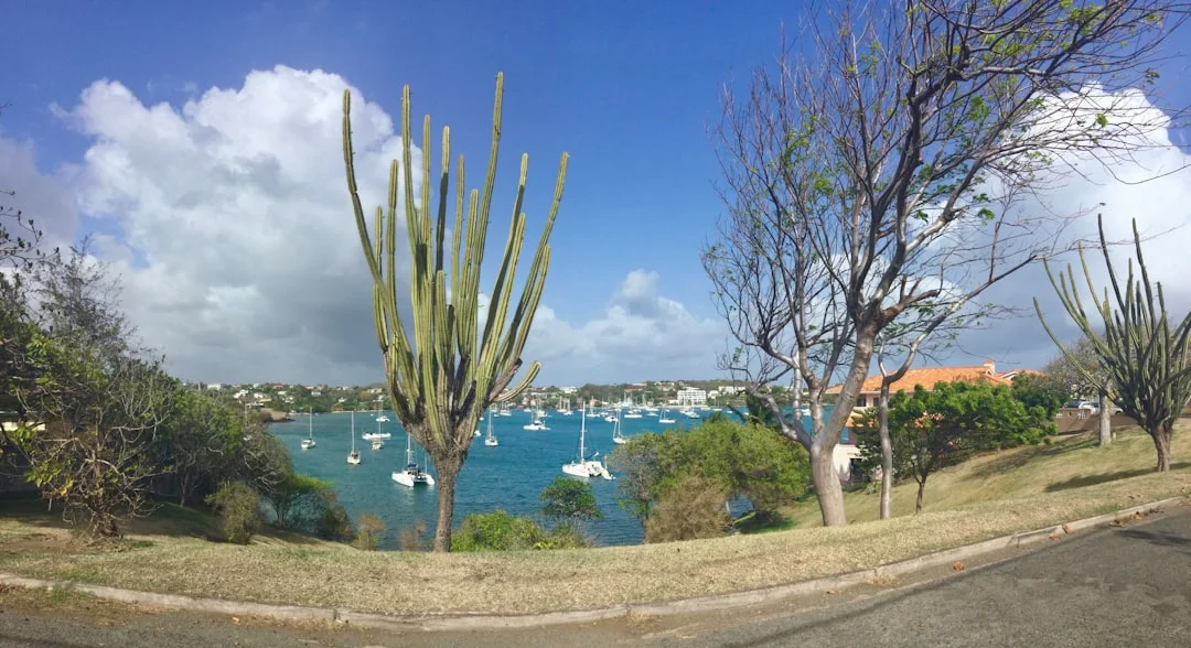 Boats anchored in a sheltered Bahamian bay with tropical vegetation