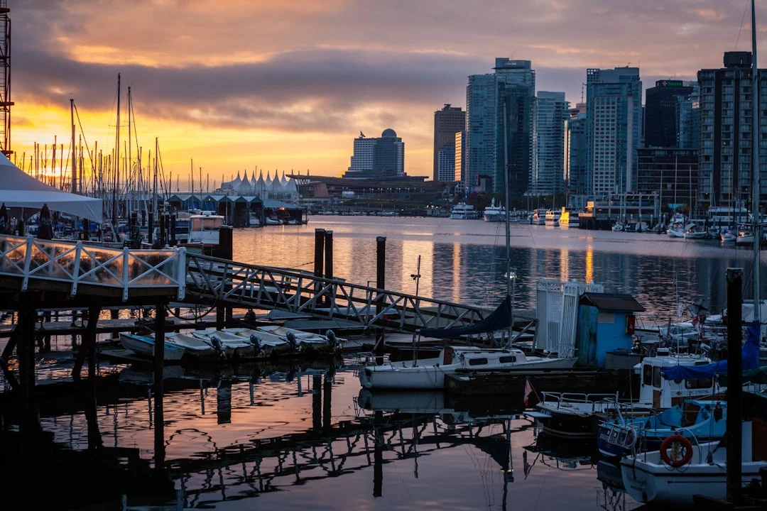 Harbor filled with liveaboard boats beside a waterfront city