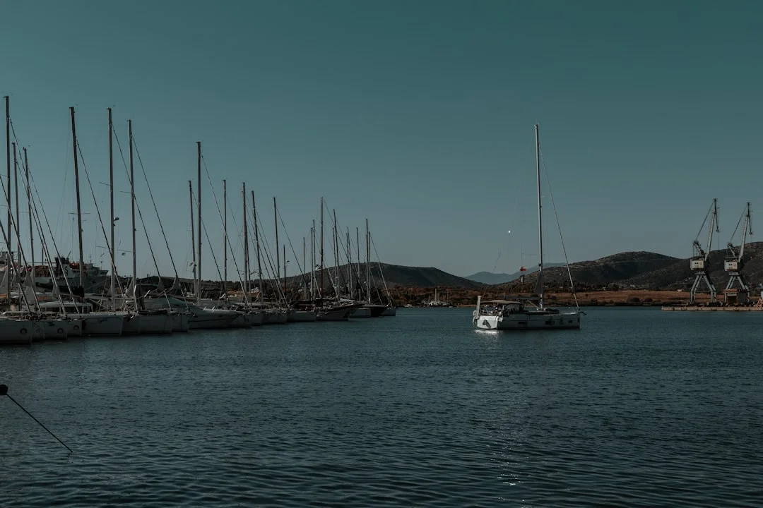 Row of sailboats docked in a calm harbor with clear sky overhead