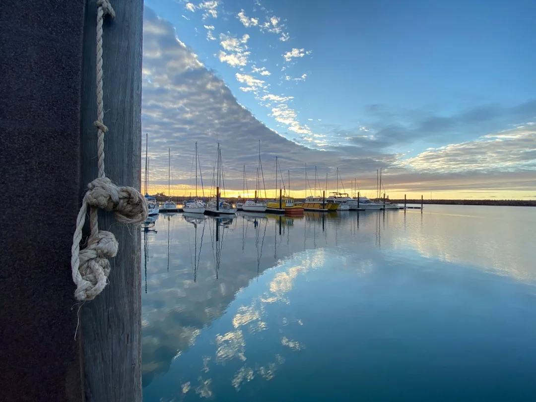 Wooden dock and calm water in a quiet marina