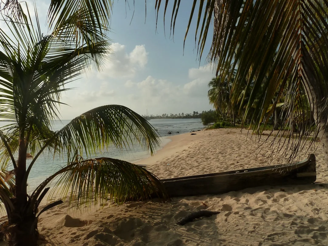 White sand beach on a San Blas island with palm trees and crystal-clear water in Panama