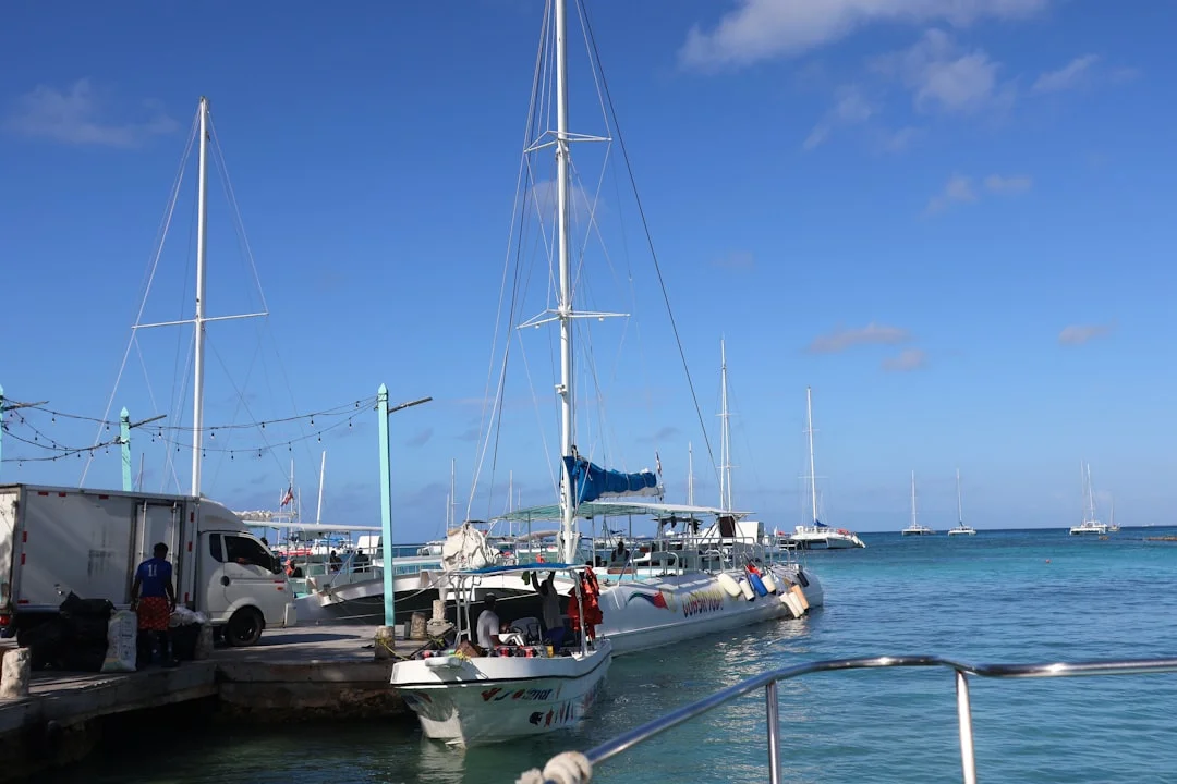 Soft-sided duffels lined up on a dock next to a charter catamaran, with hard suitcases left behind