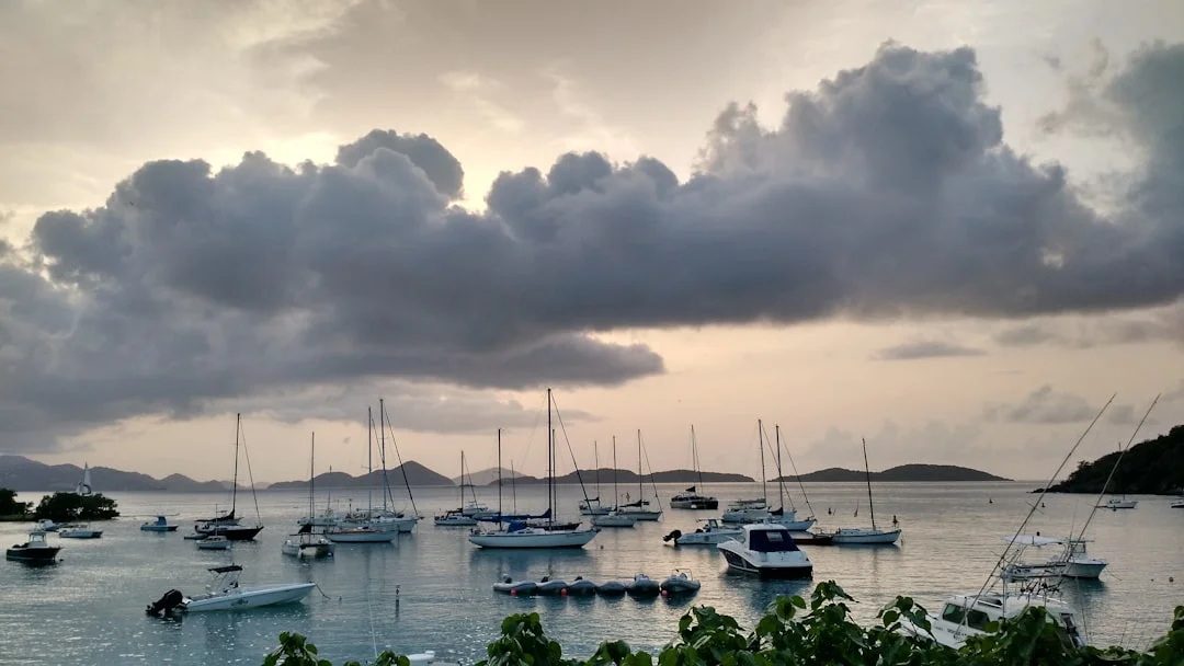 Sailboats anchored together in a sheltered anchorage