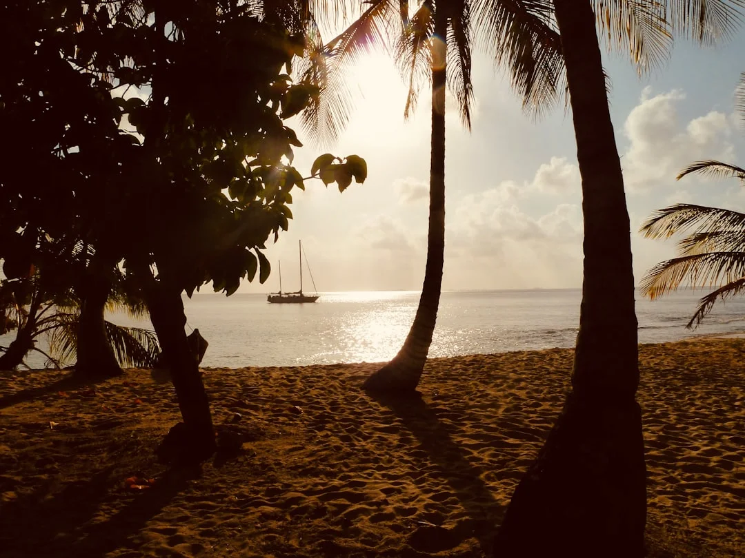Palm-fringed San Blas island with turquoise water and a sailing boat anchored offshore in Panama