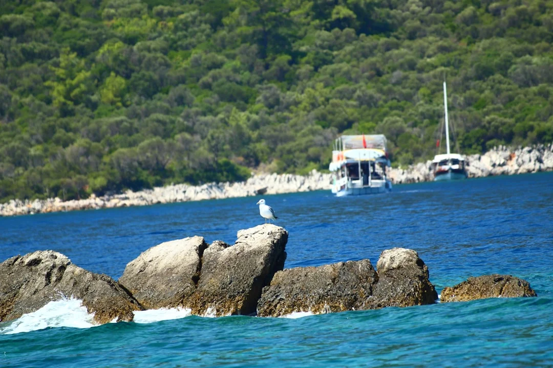 Sailing boats anchored near a lush green rocky coastline in Turkey