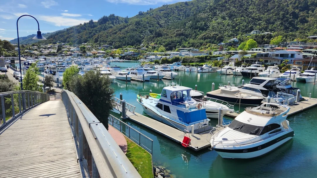 Sailboats and yachts in a marina harbor