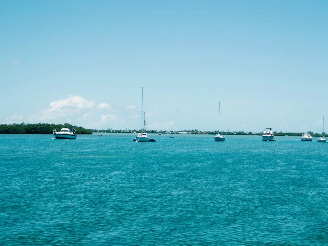 Sailboat on the hard with freshly painted bottom, jack stands visible