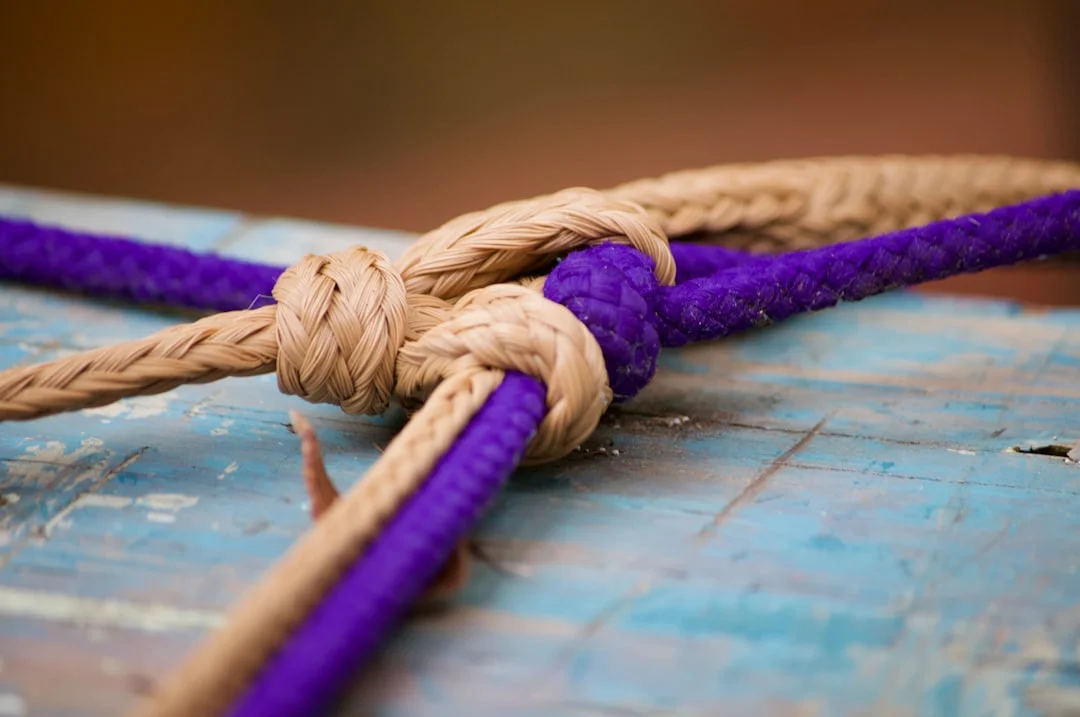 Lines belayed on pins aboard a tall ship, showing organized rigging and sailing knots in use