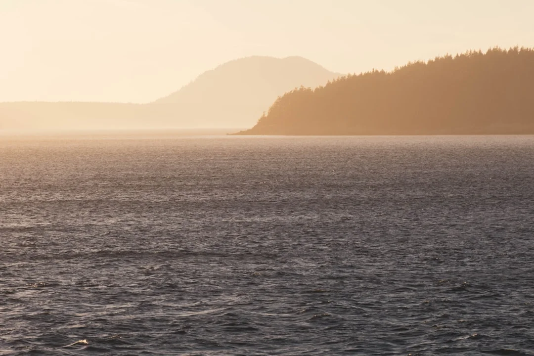 WA State Parks mooring buoy field with boats tied up at sunset