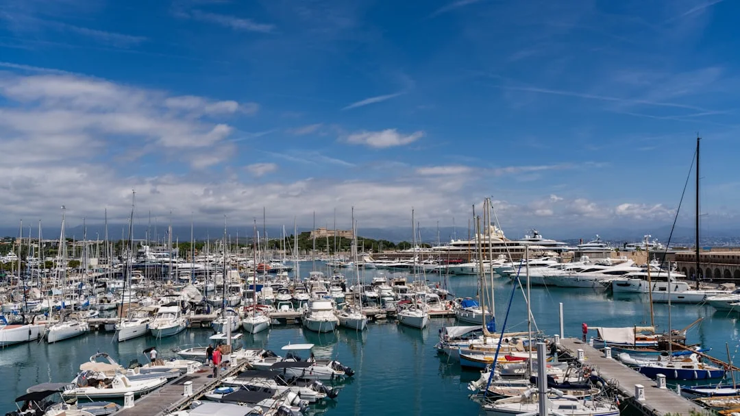 ACI-style marina pontoons with orderly mooring lines and pedestals