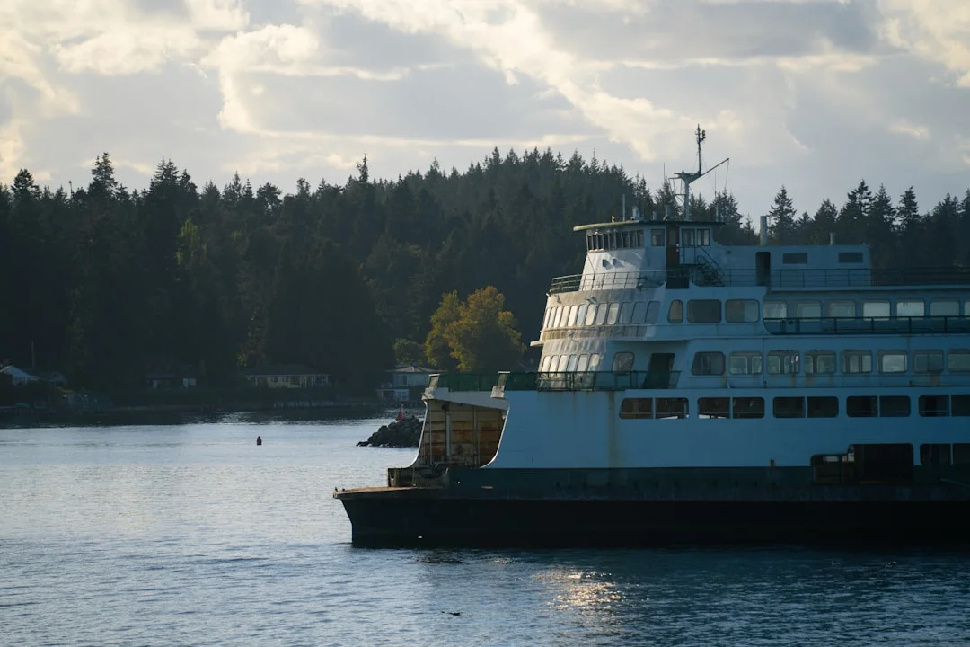 Photo placeholder of Friday Harbor mooring field and marina, busy summer scene
