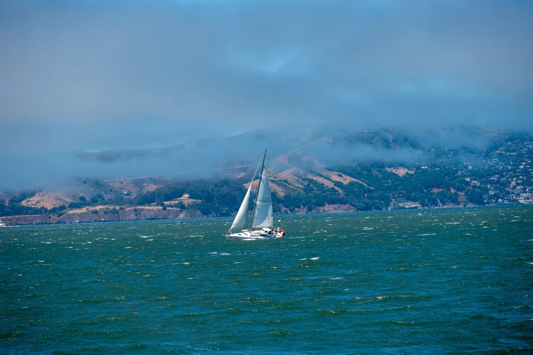 Wind line on the Bay—dark patch of gusts advancing toward a sailboat