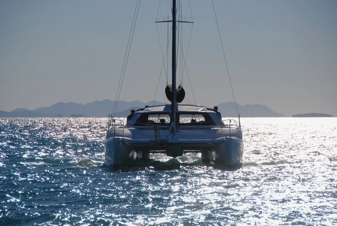 Twin engine controls at a catamaran helm, showing independent throttles and gears