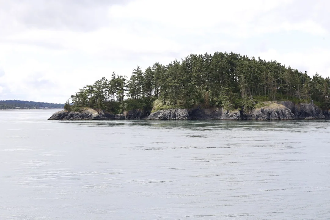 Simple chart-style graphic showing Puget Sound, Admiralty Inlet, San Juans, Gulf Islands, and the “gates” between them