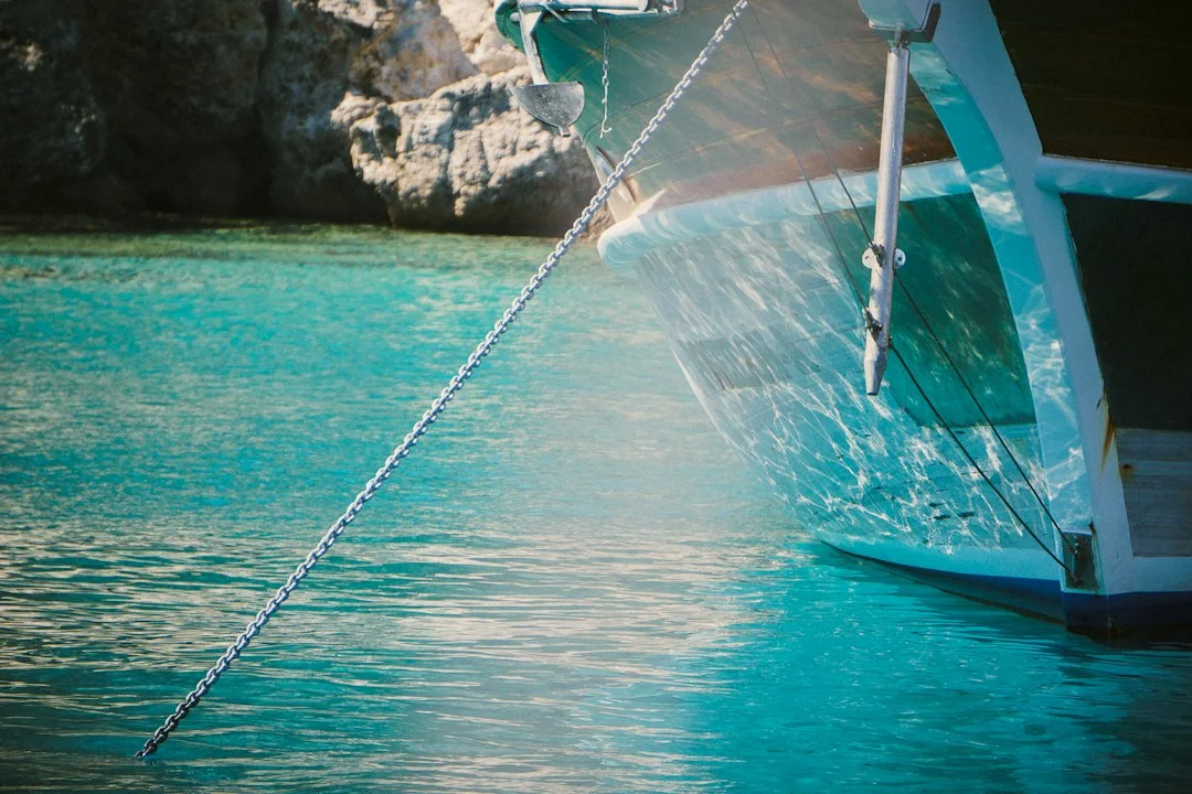 Close-up of snubber chain hook attached to chain with chafe gear on the line