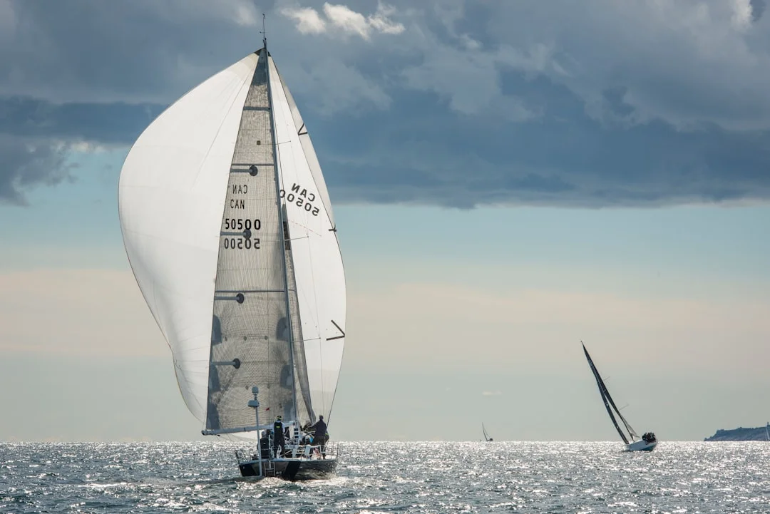 Mainsail reef tack and clew showing reinforced patches and reef line routing